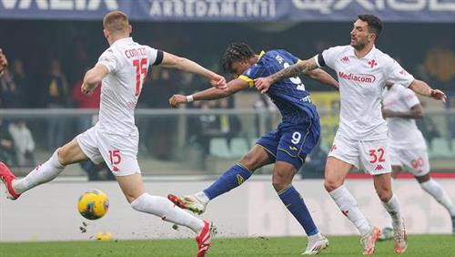 Verona Grecia vs Fiorentina
