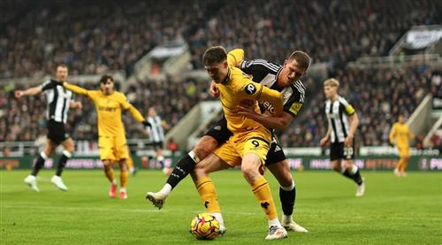 Newcastle United contra lobos