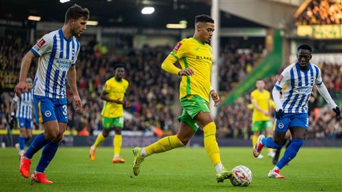 Norwich vs Brighton