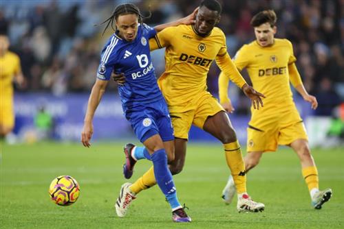 Leicester City contra lobos
