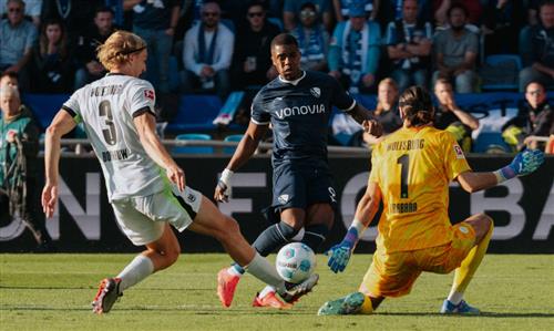 bochum vfl wolfsburgo