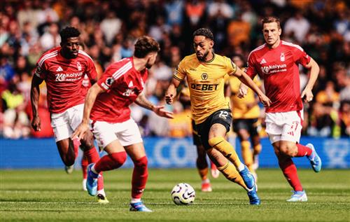 Bosque de Nottingham contra lobos