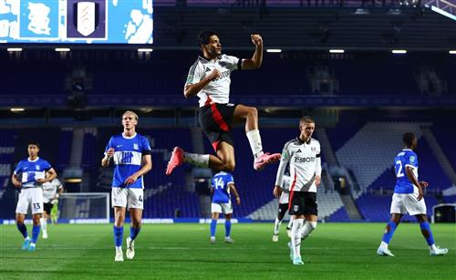 Birmingham City-Fulham