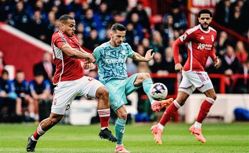 Bosque de Nottingham contra lobos