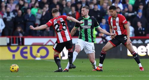 Sheffield United-Brighton