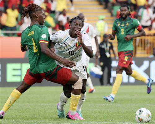 Camerún vs Guinea