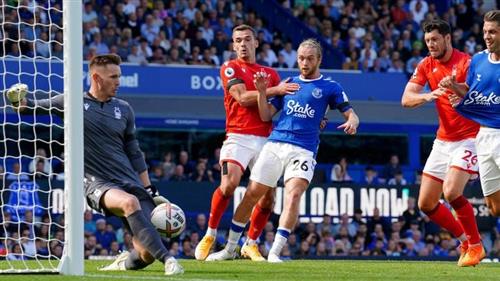 Bosque de Nottingham vs Everton