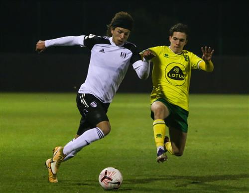 Fulham-Norwich City