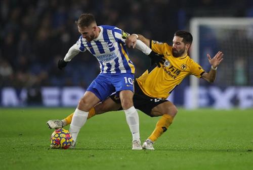 Brighton contra lobos