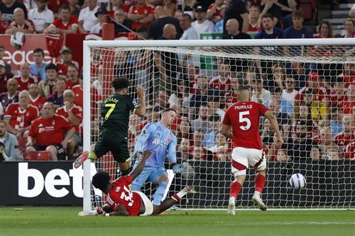Bosque de Nottingham contra Brentford