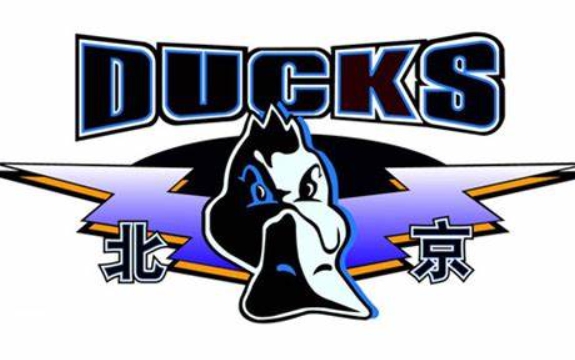 Persona de los medios: Se ha determinado que las sedes del equipo de baloncesto masculino de Beijing para la nueva temporada serán el Shougang Ice Arena y el Wukesong Gymnasium.